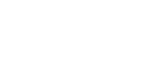 Digi+ Logo